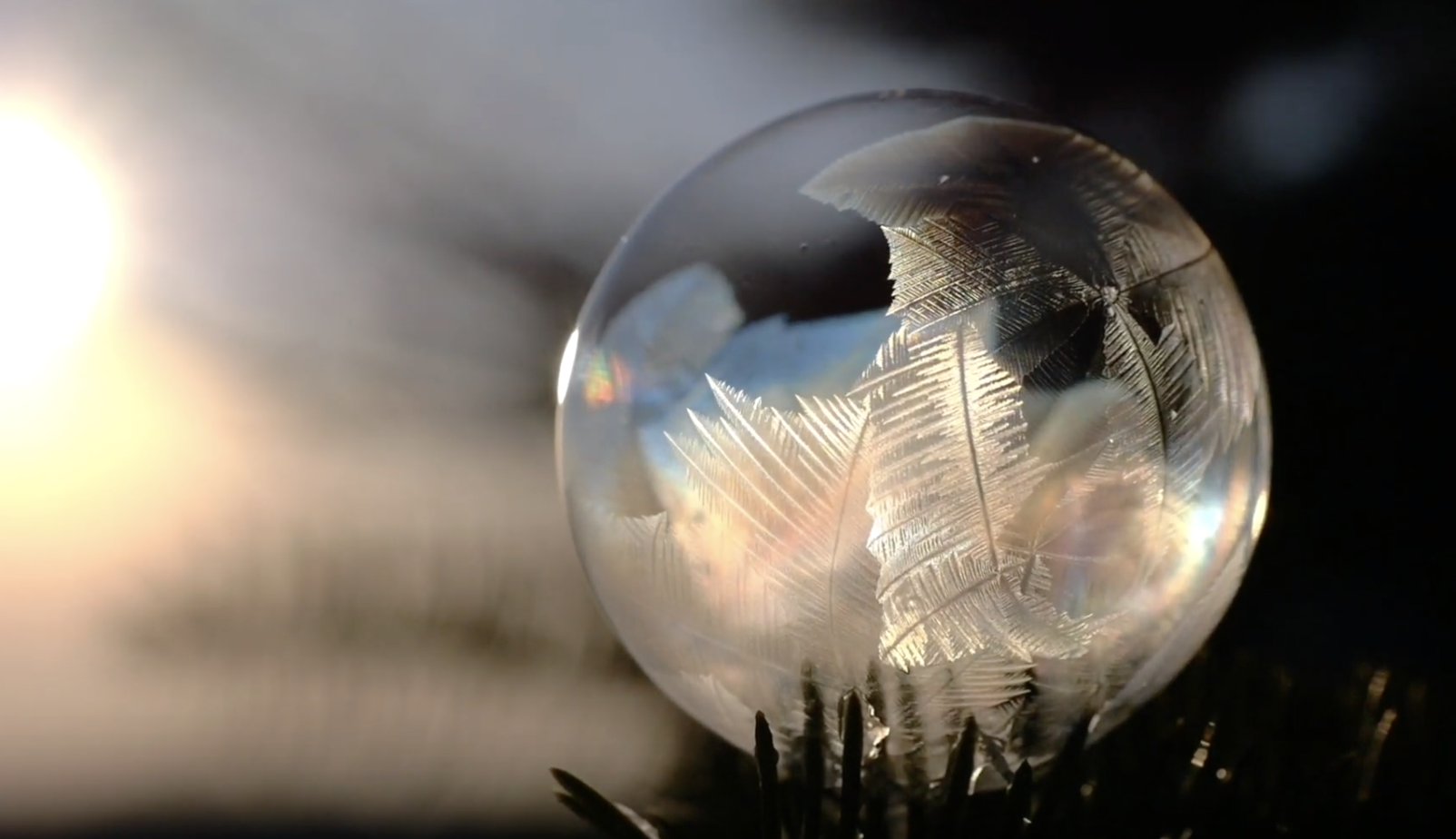 YugenWisdomatimetoreflectvideo