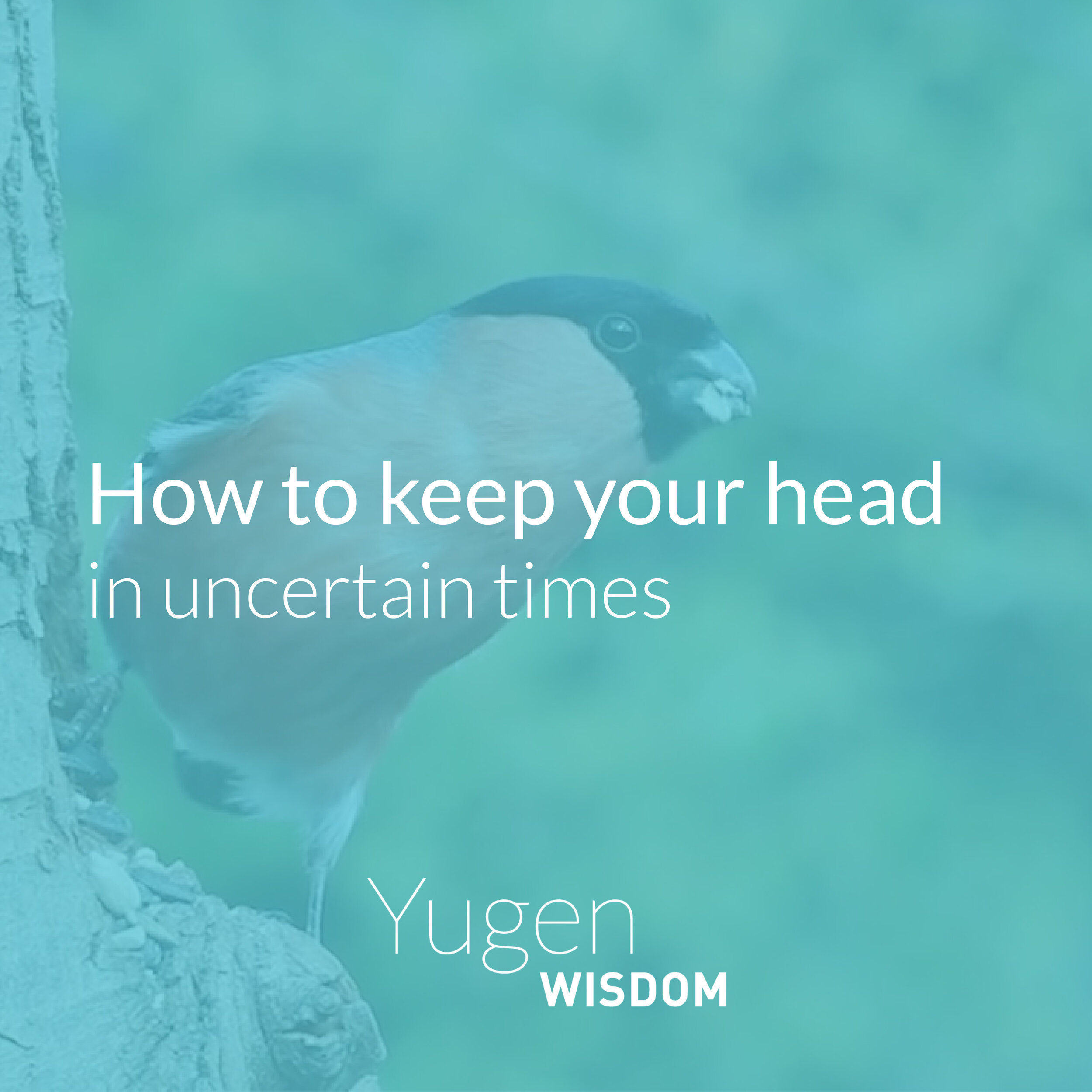 Howtokeepyourheadinstagrampost