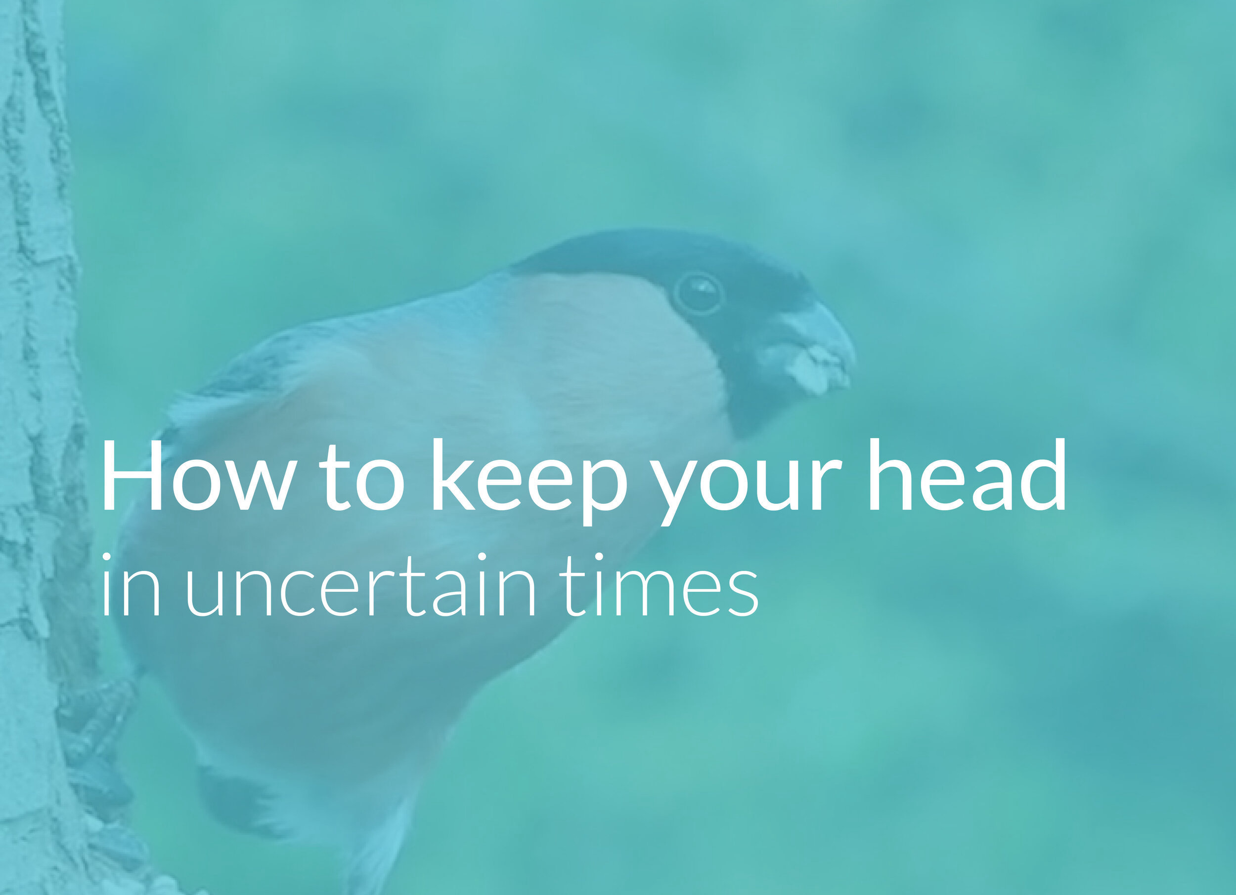 KeepHeadCrop